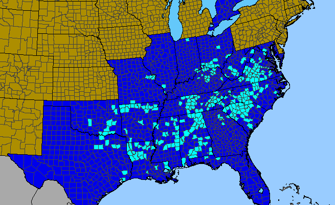 The range of Crepis pulchra